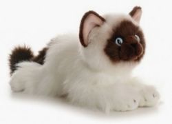 PELUCHE AURORA - CHAT PERSAN BELLA 12